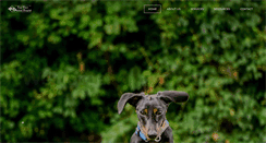 Desktop Screenshot of fourpaws-vet.com